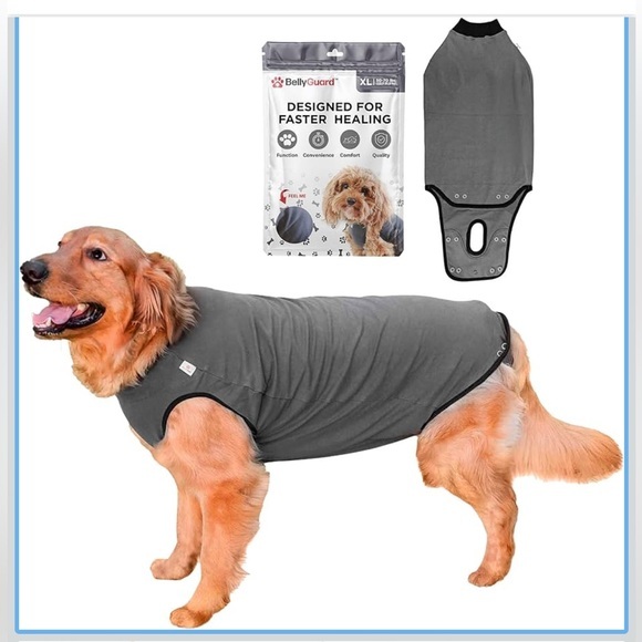 BellyGuard Other - BellyGuard Dog Surgery Recovery Suit, Dog Onesie for Post-Op Care, Recovery